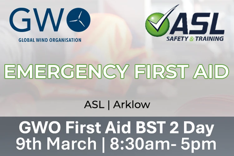 GWOFirstAid BST 2Day 9 03 Arklow
