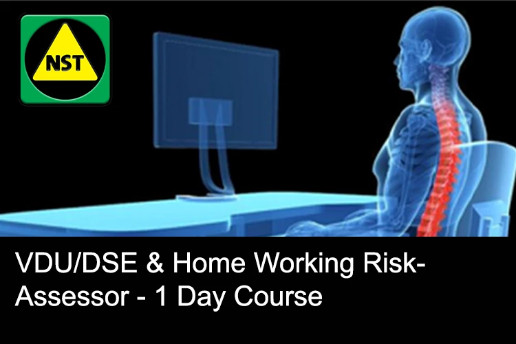 NST DSE Assessor with Logo 2