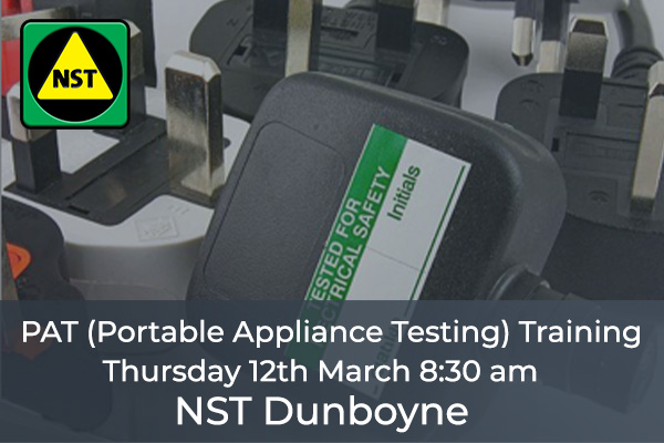 PAT Testing Dunboyne 12th March NST