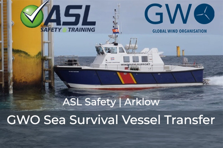 Sea Survival Vessel Transfer