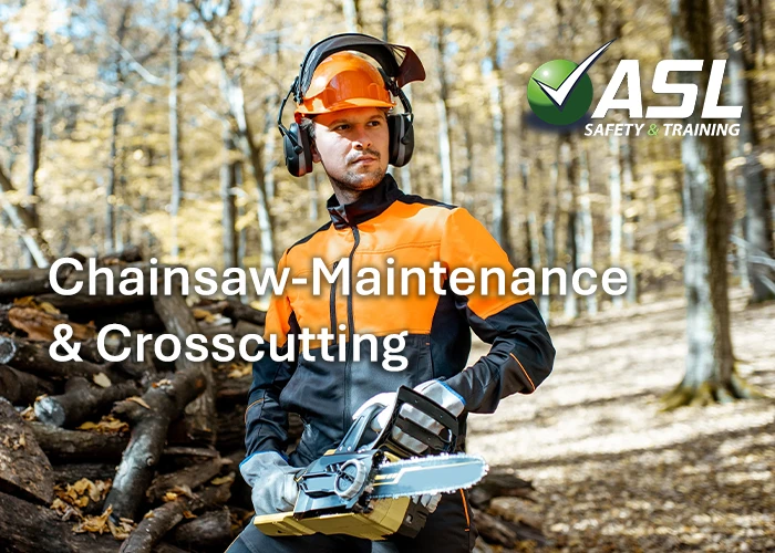 Chainsaw Maintenance Cross Cutting ASL Safety and Training