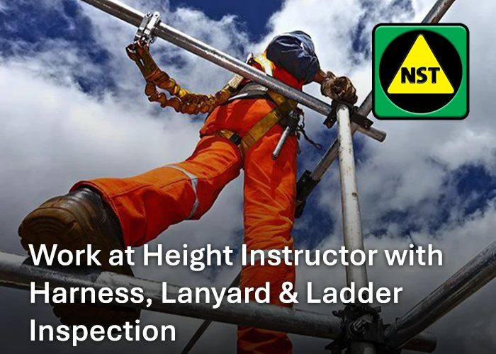 Wah Instructor with harness lanyard Ladder Inspection
