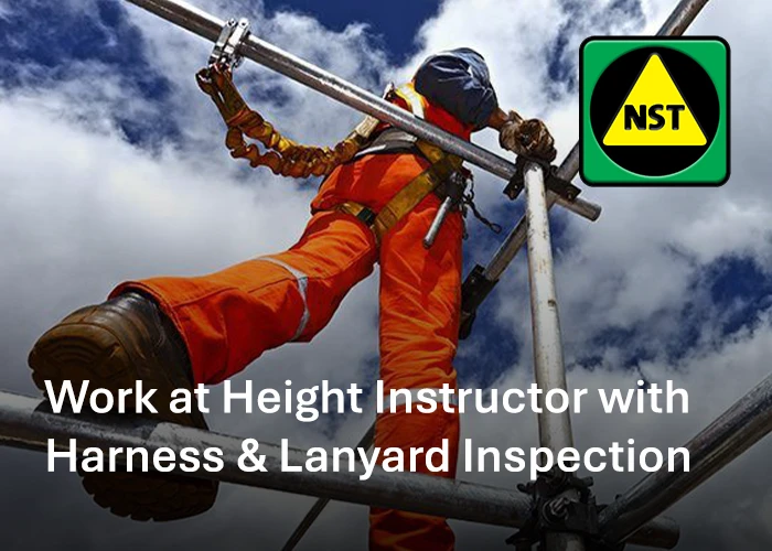 Work at Height Instructor Harness and Lanyard Inspection NST